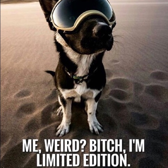 Meet your Posher - Picture 8 of 9